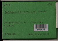 Image Associated With the Occurence